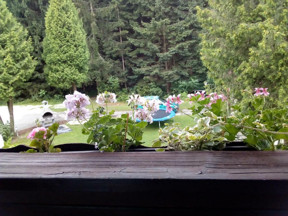 Pension Villa Louise Sankt Kanzian am Klopeiner See ภายนอก รูปภาพ